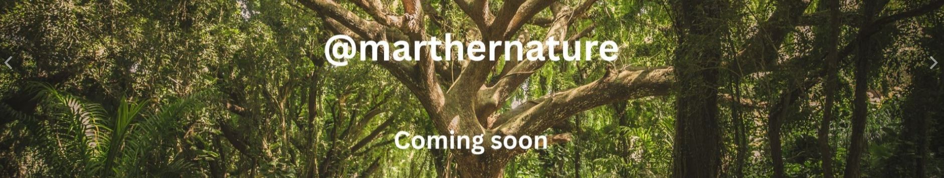 Marther Nature - a place to reflect through nature