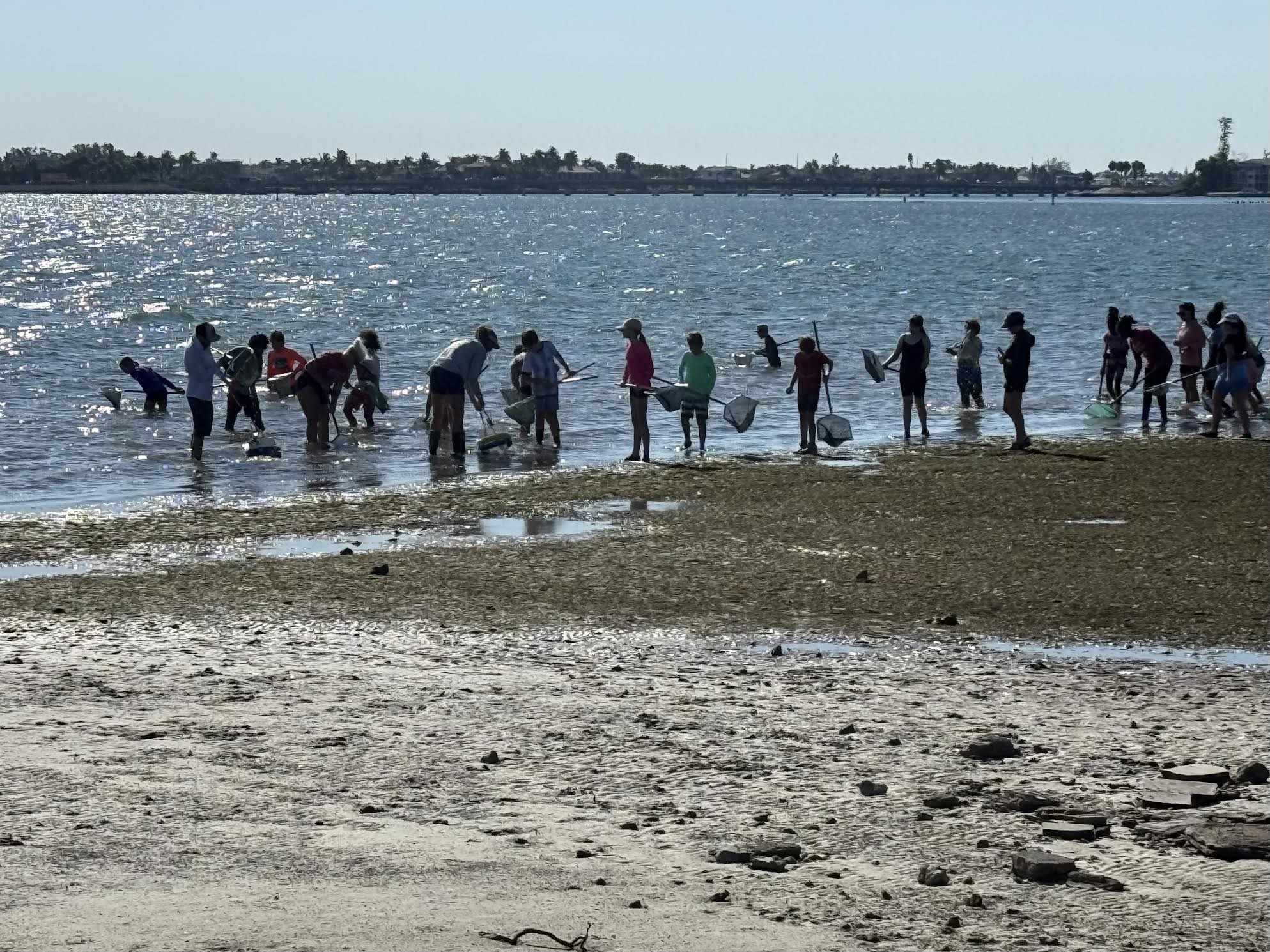 Birding at Celery Fields