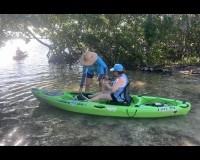 Mangrove Tunnel Kayak Tour